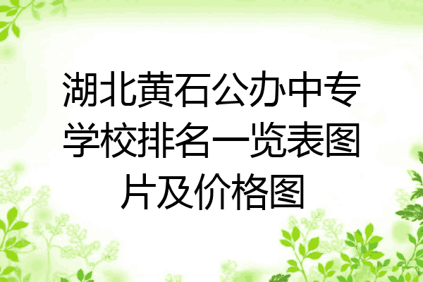 湖北黄石公办中专学校排名一览表图片及价格图
