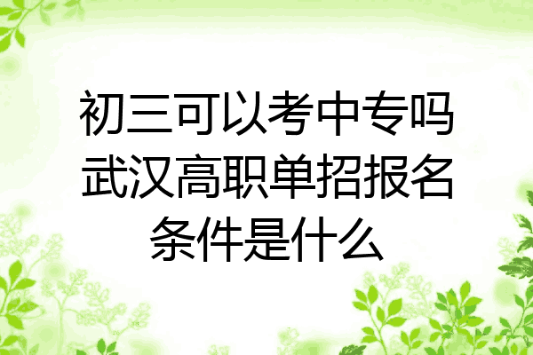 初三可以考中专吗武汉高职单招报名条件是什么
