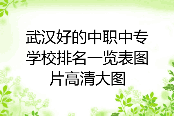 武汉好的中职中专学校排名一览表图片高清大图