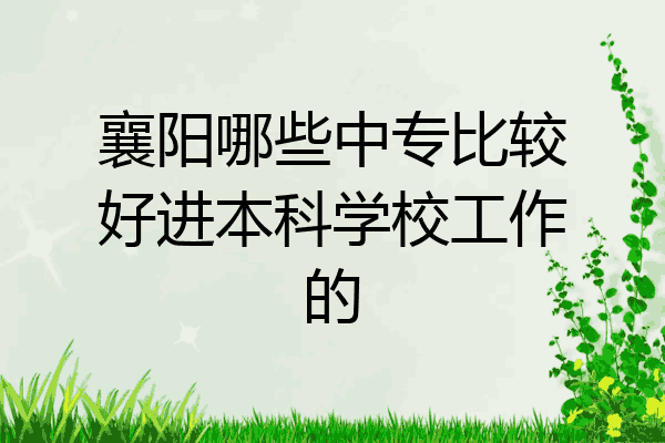 襄阳哪些中专比较好进本科学校工作的