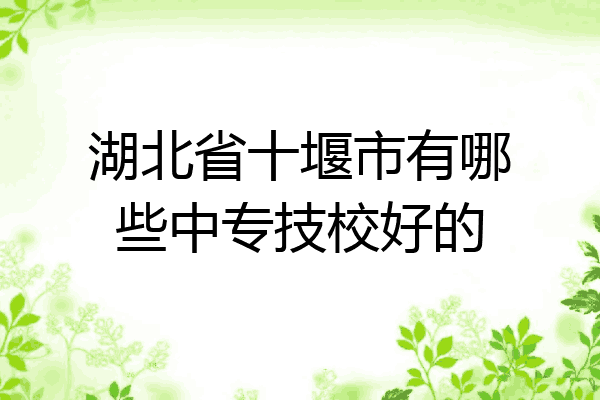 湖北省十堰市有哪些中专技校好的