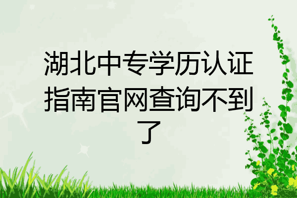 湖北中专学历认证指南官网查询不到了