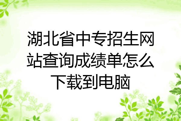 湖北省中专招生网站查询成绩单怎么下载到电脑