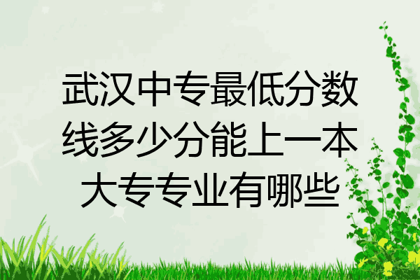 武汉中专最低分数线多少分能上一本大专专业有哪些