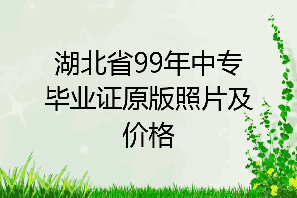 湖北省99年中专毕业证原版照片及价格