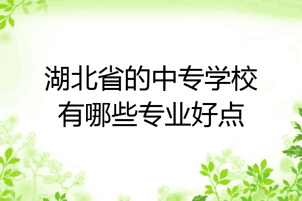 湖北省的中专学校有哪些专业好点
