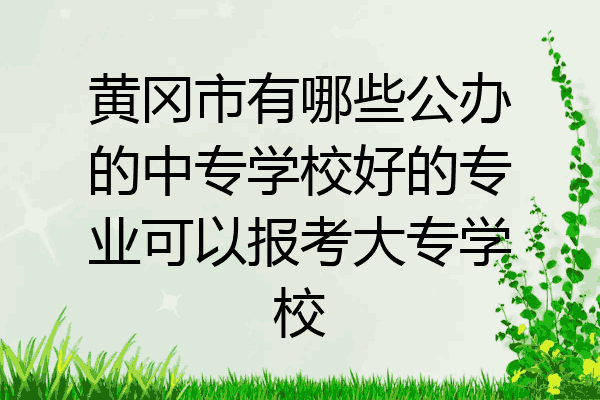 黄冈市有哪些公办的中专学校好的专业可以报考大专学校