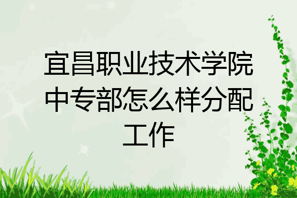 宜昌职业技术学院中专部怎么样分配工作