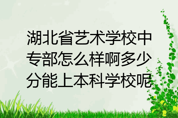 湖北省艺术学校中专部怎么样啊多少分能上本科学校呢