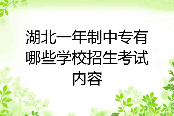 湖北一年制中专有哪些学校招生考试内容