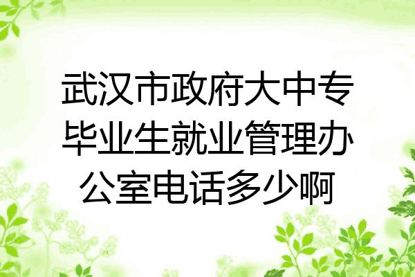 武汉市政府大中专毕业生就业管理办公室电话多少啊