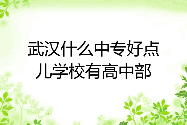 武汉什么中专好点儿学校有高中部