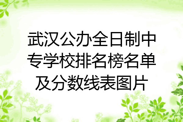 武汉公办全日制中专学校排名榜名单及分数线表图片