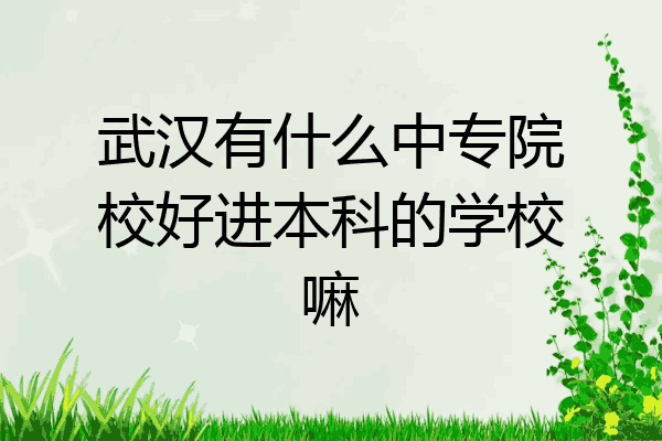 武汉有什么中专院校好进本科的学校嘛