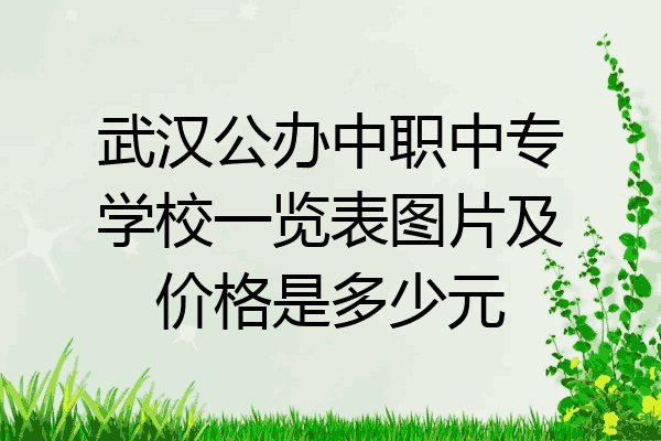 武汉公办中职中专学校一览表图片及价格是多少元