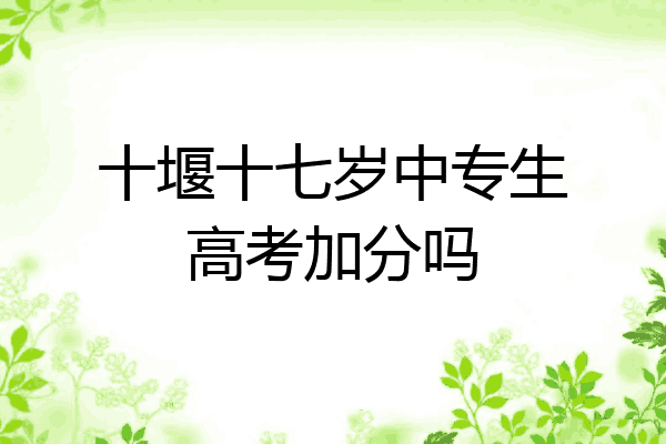 十堰十七岁中专生高考加分吗