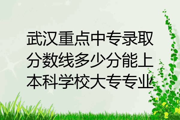 武汉重点中专录取分数线多少分能上本科学校大专专业