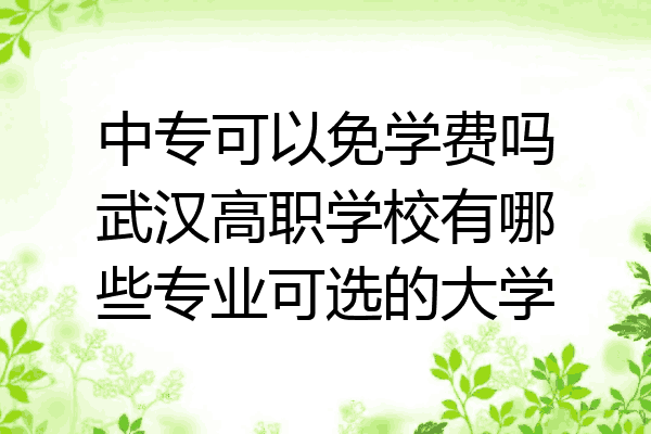中专可以免学费吗武汉高职学校有哪些专业可选的大学
