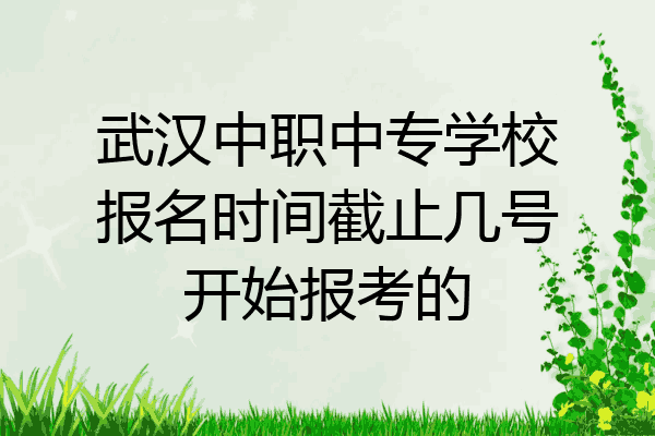 武汉中职中专学校报名时间截止几号开始报考的