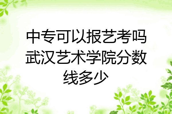 中专可以报艺考吗武汉艺术学院分数线多少