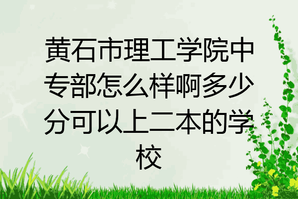 黄石市理工学院中专部怎么样啊多少分可以上二本的学校