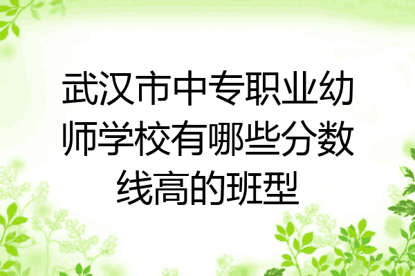 武汉市中专职业幼师学校有哪些分数线高的班型