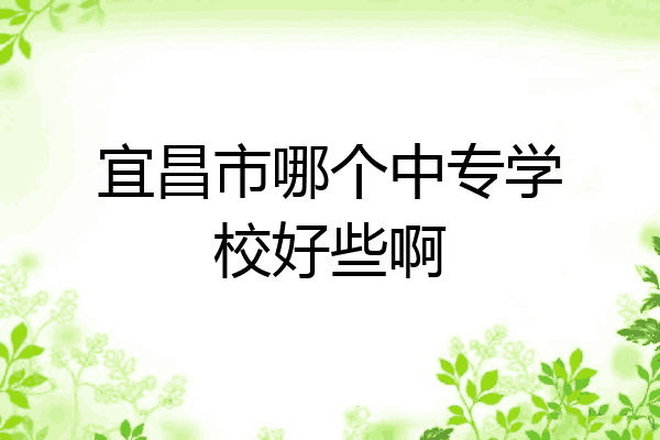 宜昌市哪个中专学校好些啊
