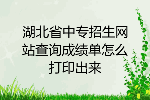 湖北省中专招生网站查询成绩单怎么打印出来