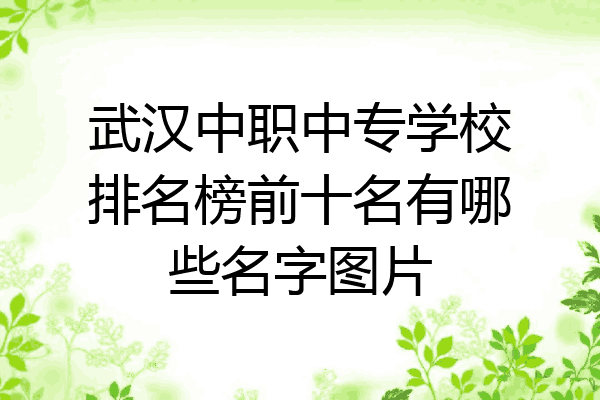 武汉中职中专学校排名榜前十名有哪些名字图片