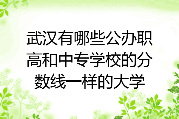 武汉有哪些公办职高和中专学校的分数线一样的大学