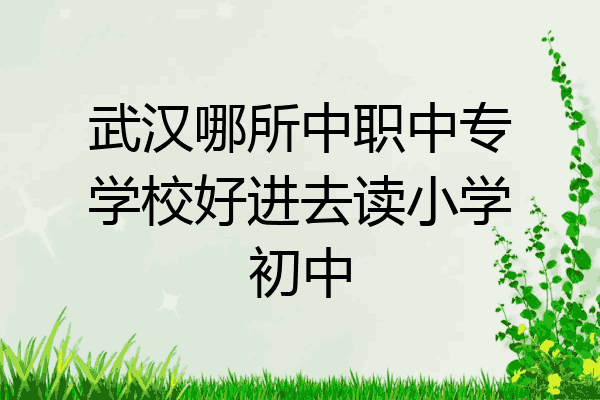 武汉哪所中职中专学校好进去读小学初中