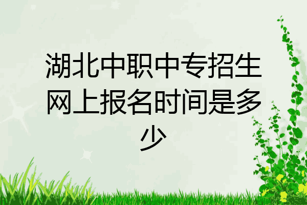 湖北中职中专招生网上报名时间是多少