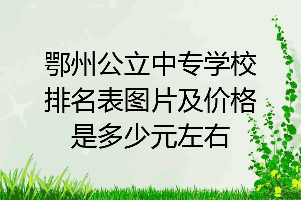 鄂州公立中专学校排名表图片及价格是多少元左右