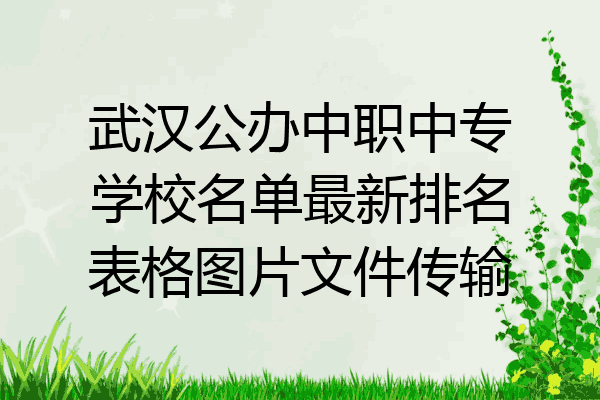 武汉公办中职中专学校名单最新排名表格图片文件传输