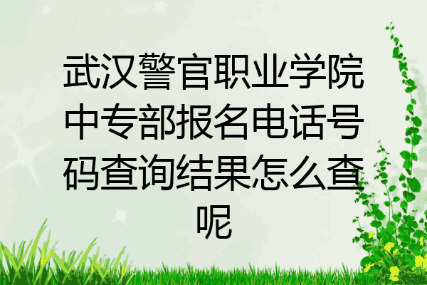 武汉警官职业学院中专部报名电话号码查询结果怎么查呢