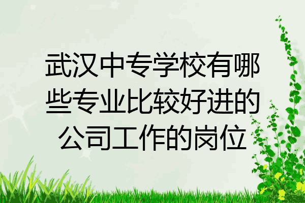 武汉中专学校有哪些专业比较好进的公司工作的岗位