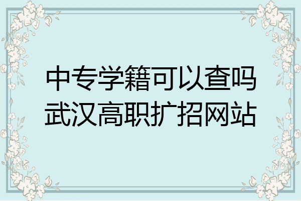 中专学籍可以查吗武汉高职扩招网站
