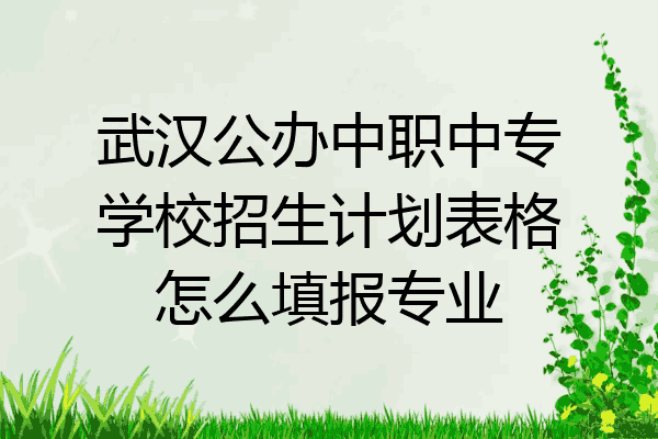 武汉公办中职中专学校招生计划表格怎么填报专业