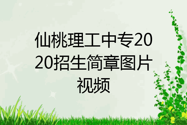 仙桃理工中专2020招生简章图片视频