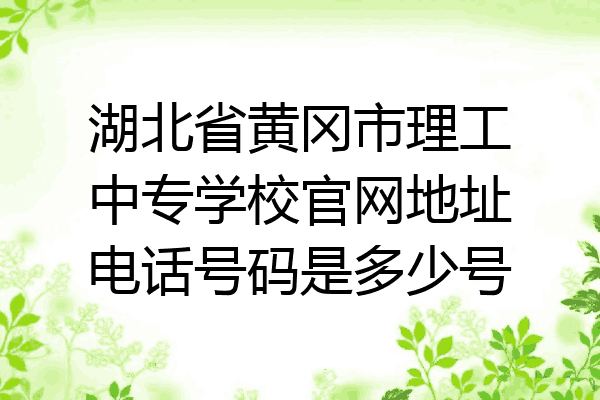 湖北省黄冈市理工中专学校官网地址电话号码是多少号