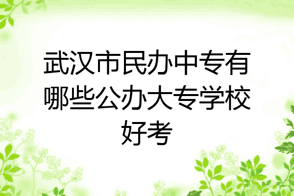 武汉市民办中专有哪些公办大专学校好考