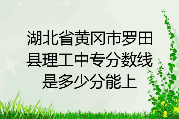 湖北省黄冈市罗田县理工中专分数线是多少分能上
