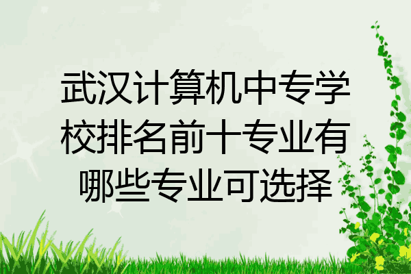 武汉计算机中专学校排名前十专业有哪些专业可选择