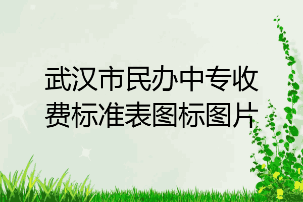 武汉市民办中专收费标准表图标图片