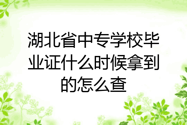 湖北省中专学校毕业证什么时候拿到的怎么查