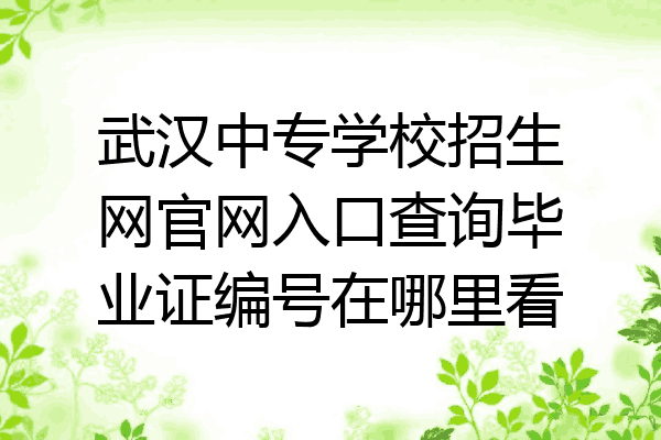 武汉中专学校招生网官网入口查询毕业证编号在哪里看