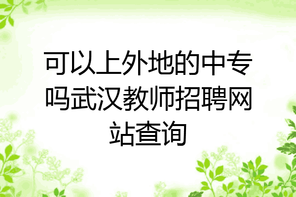 可以上外地的中专吗武汉教师招聘网站查询