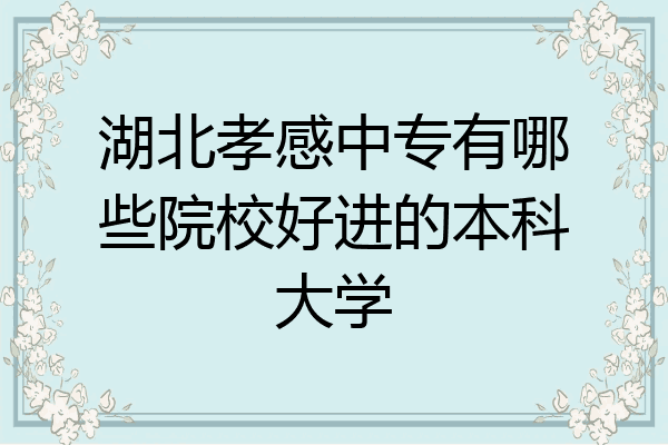 湖北孝感中专有哪些院校好进的本科大学