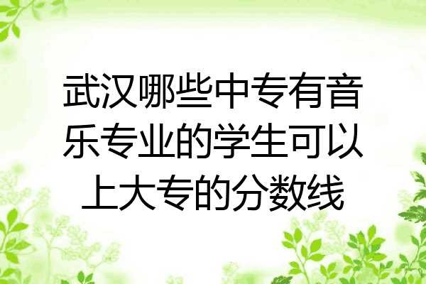 武汉哪些中专有音乐专业的学生可以上大专的分数线