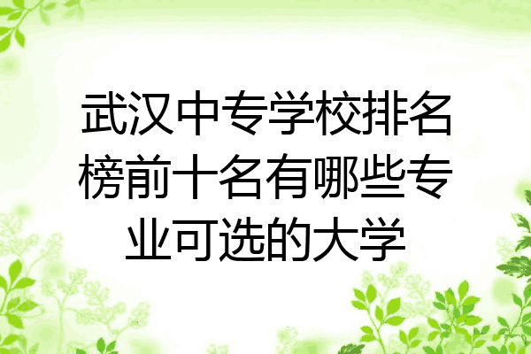 武汉中专学校排名榜前十名有哪些专业可选的大学